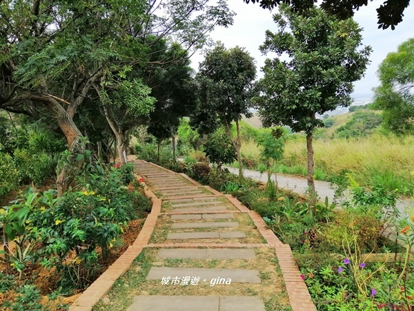 IMG_20181125_103252.jpg IMG_20181125_103252.jpg