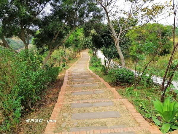 IMG_20181125_103544.jpg IMG_20181125_103544.jpg