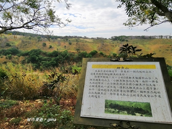 IMG_20181125_103935.jpg IMG_20181125_103935.jpg