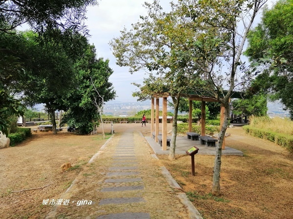 IMG_20181125_104550.jpg IMG_20181125_104550.jpg