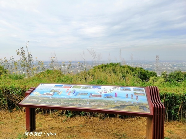 IMG_20181125_104746.jpg IMG_20181125_104746.jpg