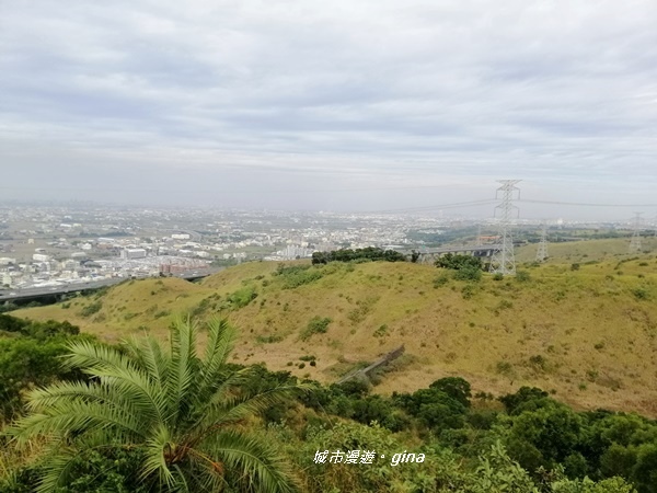 IMG_20181125_104830.jpg IMG_20181125_104830.jpg