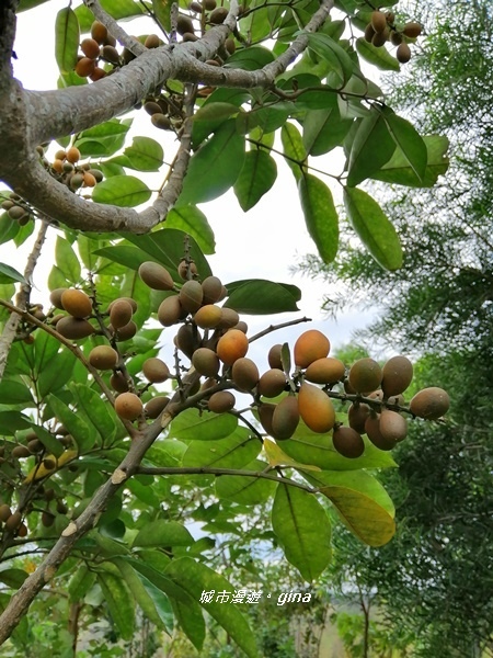 IMG_20181125_110843.jpg IMG_20181125_110843.jpg