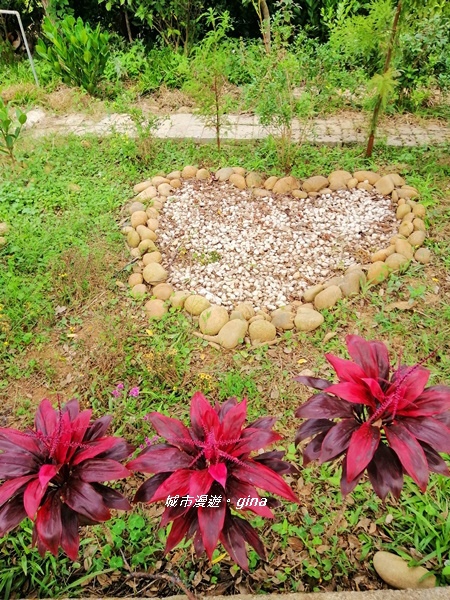 IMG_20181125_110919.jpg IMG_20181125_110919.jpg