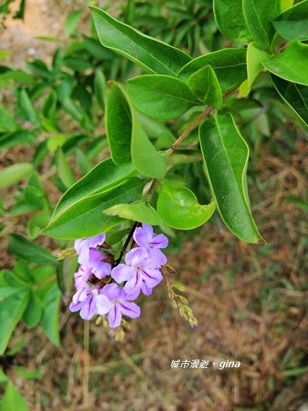 IMG_20181125_111008.jpg IMG_20181125_111008.jpg