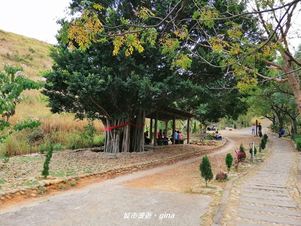 IMG_20181125_112053.jpg IMG_20181125_112053.jpg