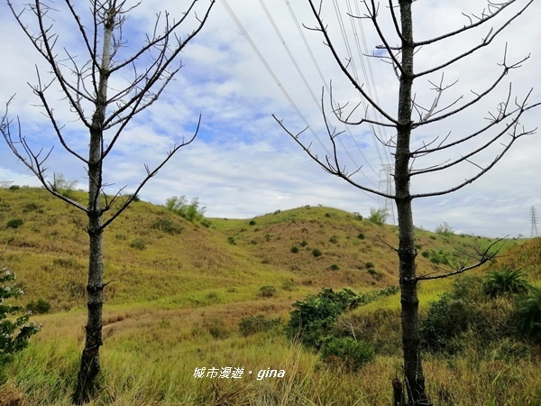 IMG_20181125_112119.jpg IMG_20181125_112119.jpg