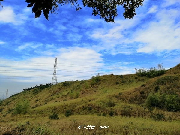 IMG_20181125_112251.jpg IMG_20181125_112251.jpg