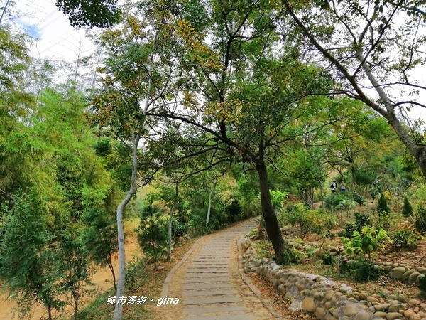 IMG_20181125_112255.jpg IMG_20181125_112255.jpg