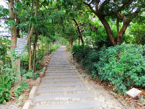 IMG_20181125_113539.jpg IMG_20181125_113539.jpg