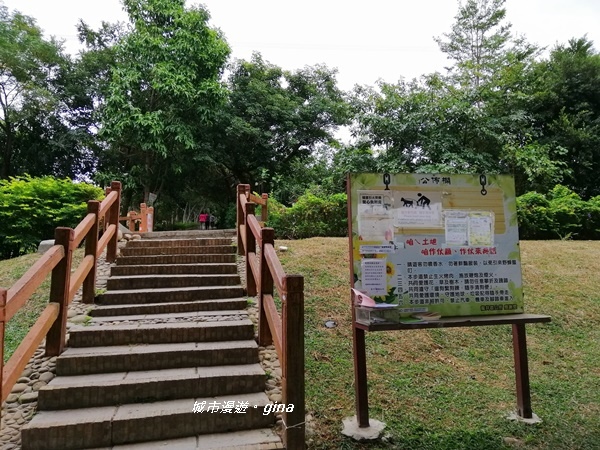 IMG_20181125_113644.jpg IMG_20181125_113644.jpg