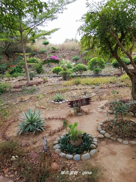 IMG_20181125_121051.jpg IMG_20181125_121051.jpg