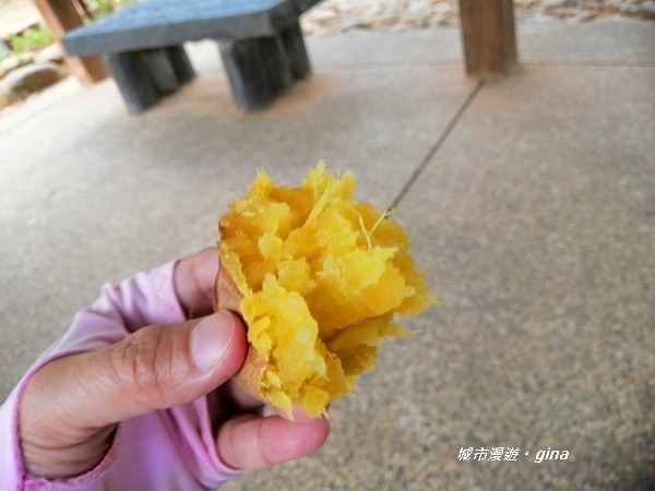 IMG_20181125_122540.jpg IMG_20181125_122540.jpg