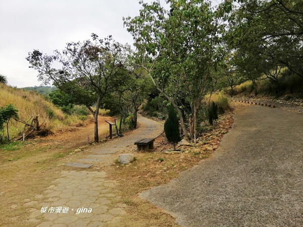 IMG_20181125_123922.jpg IMG_20181125_123922.jpg