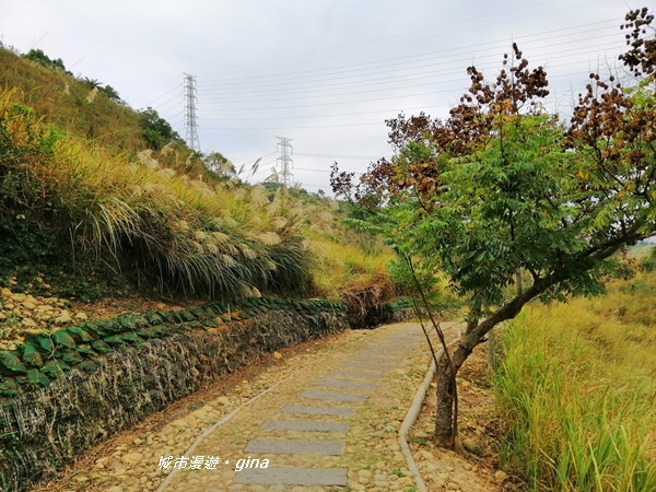 IMG_20181125_124332.jpg IMG_20181125_124332.jpg