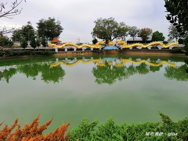 IMG_20181125_131541.jpg IMG_20181125_131541.jpg