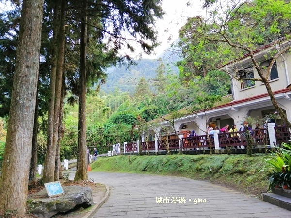 20181207_181207_0002.jpg 20181207_181207_0002.jpg