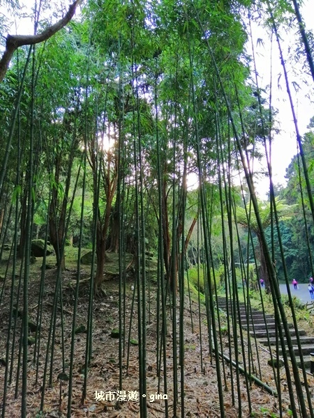 20181207_181207_0009.jpg 20181207_181207_0009.jpg