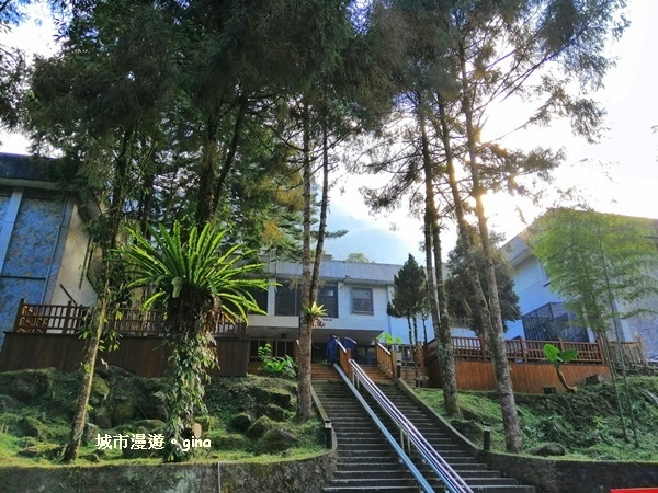 20181207_181207_0011.jpg 20181207_181207_0011.jpg