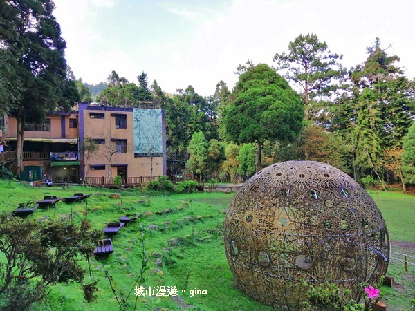 20181207_181207_0015.jpg 20181207_181207_0015.jpg