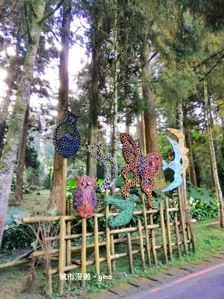 20181207_181207_0013.jpg 20181207_181207_0013.jpg