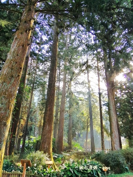 20181207_181207_0018.jpg 20181207_181207_0018.jpg