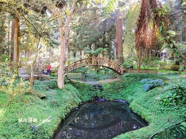 20181207_181207_0026.jpg 20181207_181207_0026.jpg