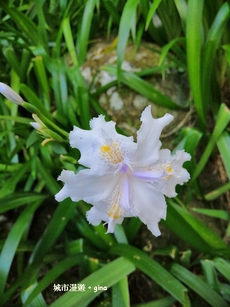 20181207_181207_0030.jpg 20181207_181207_0030.jpg