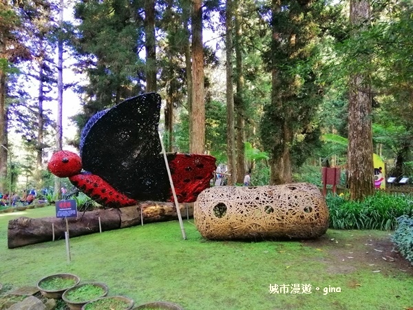 20181207_181207_0033.jpg 20181207_181207_0033.jpg