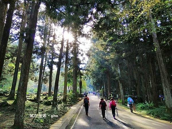 20181207_181207_0039.jpg 20181207_181207_0039.jpg