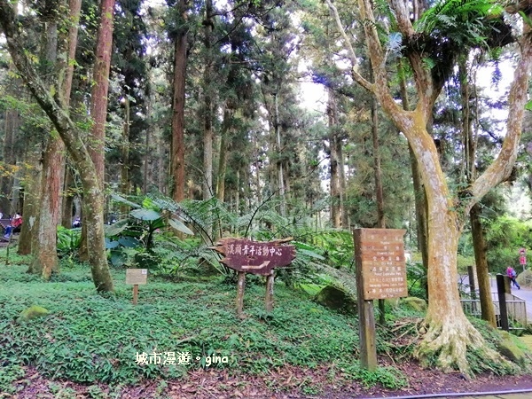 20181207_181207_0040.jpg 20181207_181207_0040.jpg