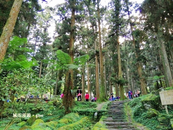 20181207_181207_0044.jpg 20181207_181207_0044.jpg