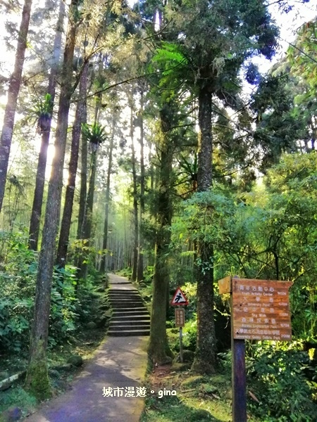 20181207_181207_0046.jpg 20181207_181207_0046.jpg