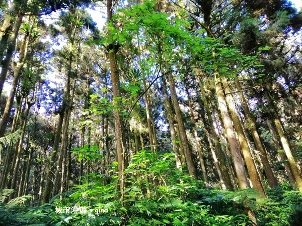 20181207_181207_0055.jpg 20181207_181207_0055.jpg