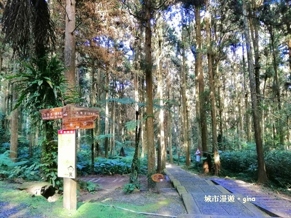 20181207_181207_0057.jpg 20181207_181207_0057.jpg