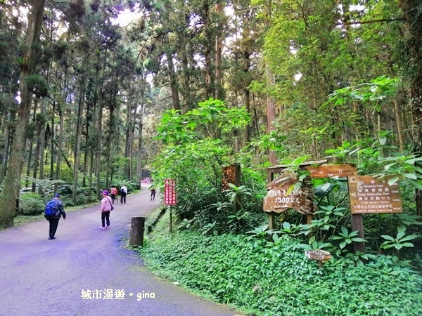 20181207_181207_0070.jpg 20181207_181207_0070.jpg