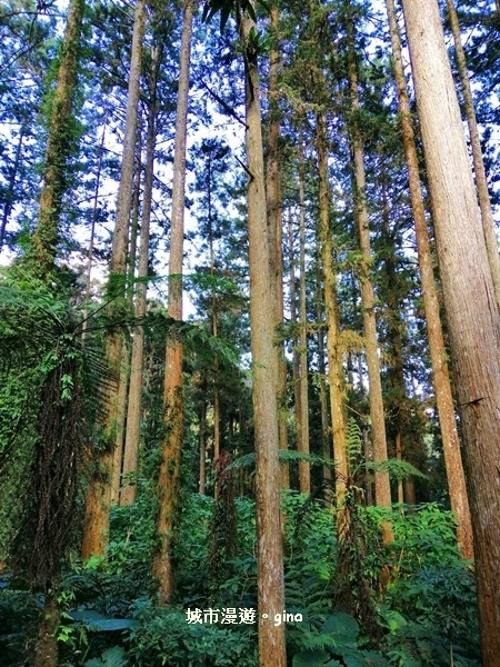 20181207_181207_0071.jpg 20181207_181207_0071.jpg