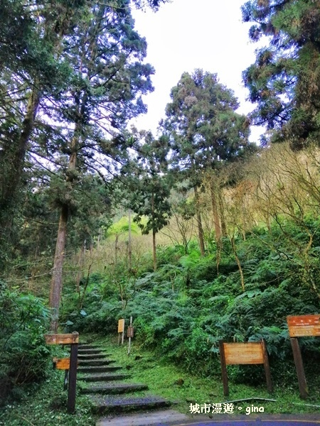 20181207_181207_0074.jpg 20181207_181207_0074.jpg