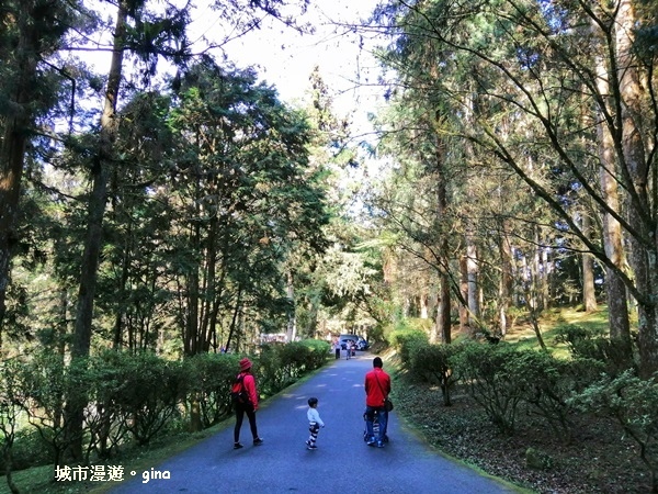 20181207_181207_0088.jpg 20181207_181207_0088.jpg