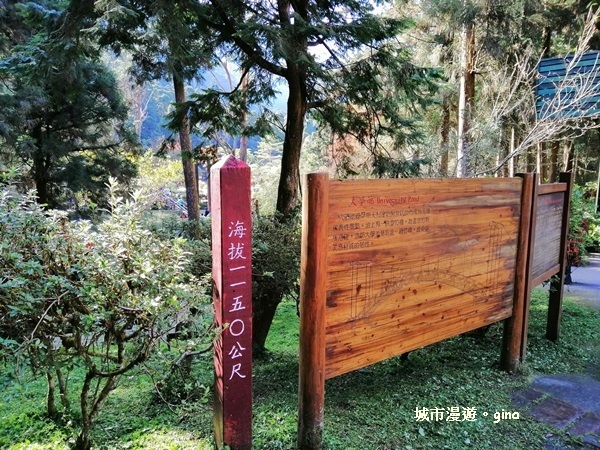 20181207_181207_0091.jpg 20181207_181207_0091.jpg