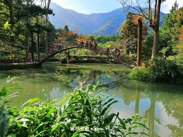 20181207_181207_0099.jpg 20181207_181207_0099.jpg