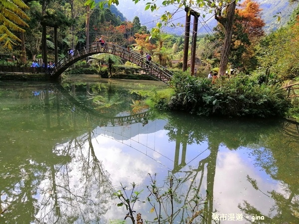 20181207_181207_0093.jpg 20181207_181207_0093.jpg