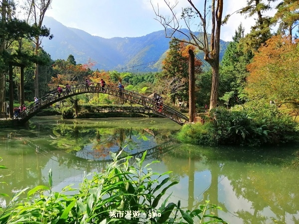 20181207_181207_0100.jpg 20181207_181207_0100.jpg