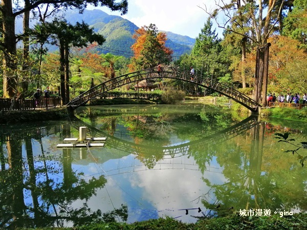 20181207_181207_0107.jpg 20181207_181207_0107.jpg