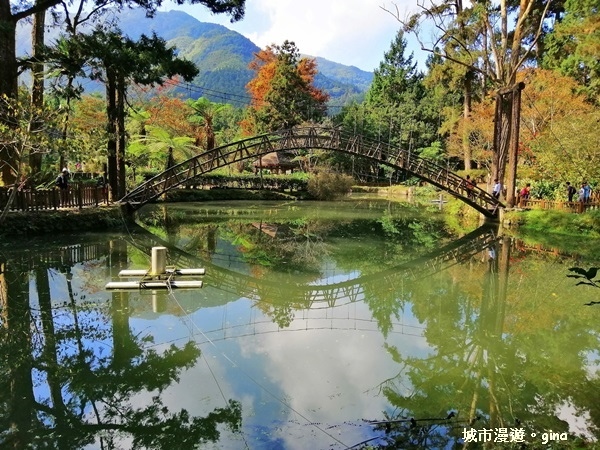 20181207_181207_0103.jpg 20181207_181207_0103.jpg