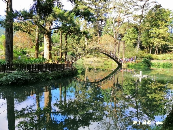 20181207_181207_0115.jpg 20181207_181207_0115.jpg