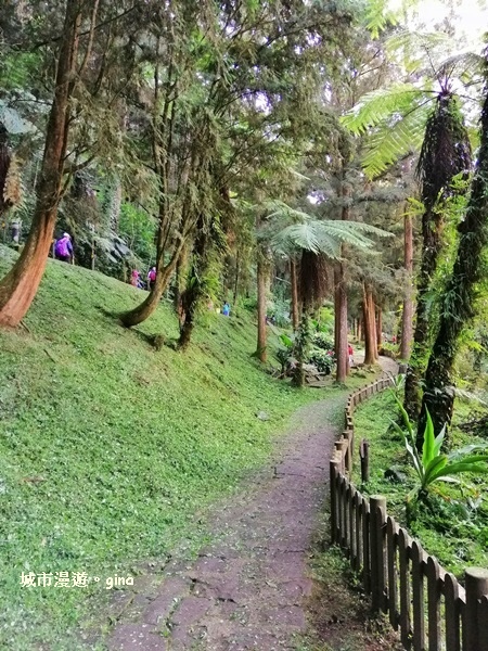 20181207_181207_0118.jpg 20181207_181207_0118.jpg