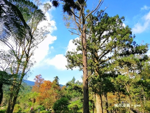 20181207_181207_0119.jpg 20181207_181207_0119.jpg