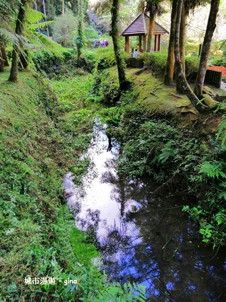 20181207_181207_0125.jpg 20181207_181207_0125.jpg