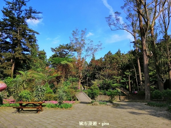 20181207_181207_0130.jpg 20181207_181207_0130.jpg